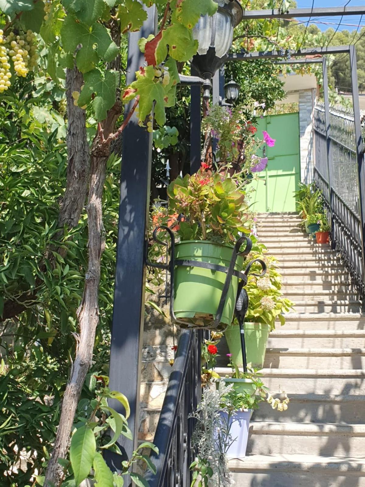 Sara Guesthouse Berat Exterior foto